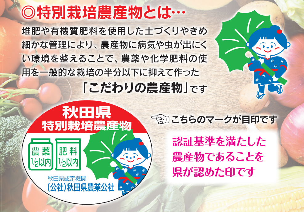 秋田最高峰！無農薬こまち【特栽米/化肥8割減】 25年産 – 稲造米穀店