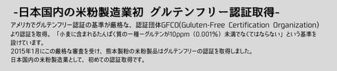 【パン・クッキー用】九州ミズホチカラ米粉 300g【グルテンフリー】