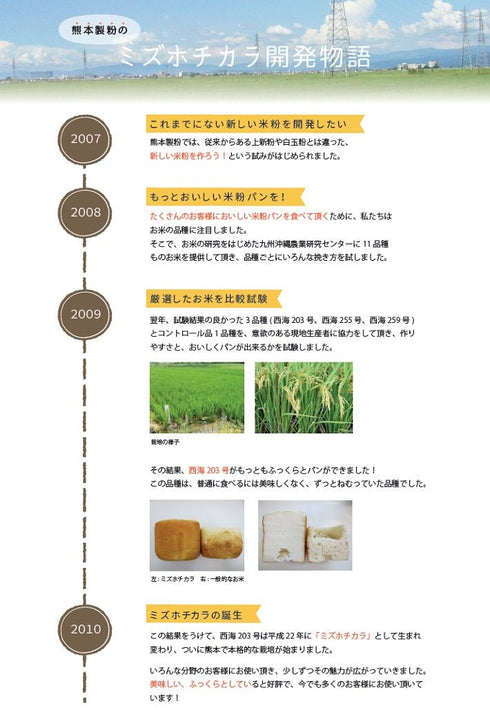 【パン・クッキー用】九州ミズホチカラ米粉 300g【グルテンフリー】
