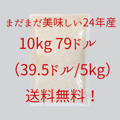 【24年産】コシヒカリ白米 10kg【ディスカウント!】