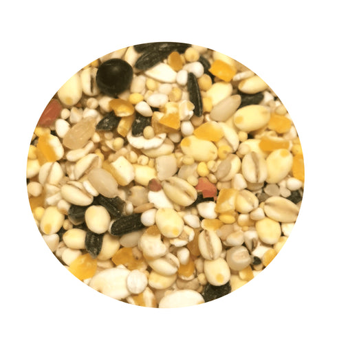 Mix and Effective! GABA Twenty Grain Rice Great