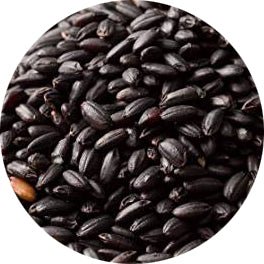 食べるサプリメント!立山連峰の黒米朝紫 特別栽培米