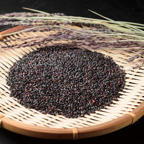 食べるサプリメント!立山連峰の黒米朝紫 特別栽培米